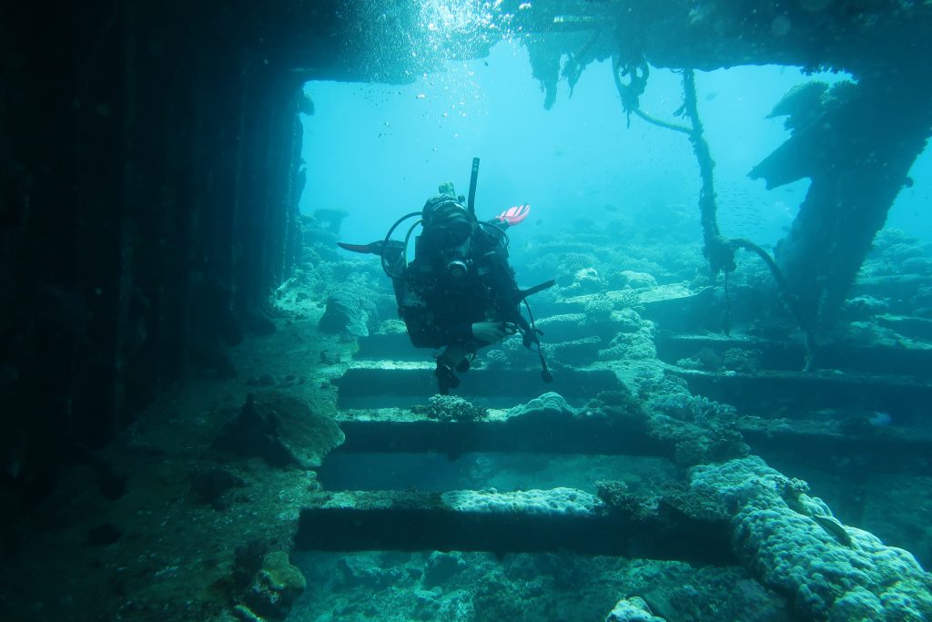 Red Sea Kingston Wreck