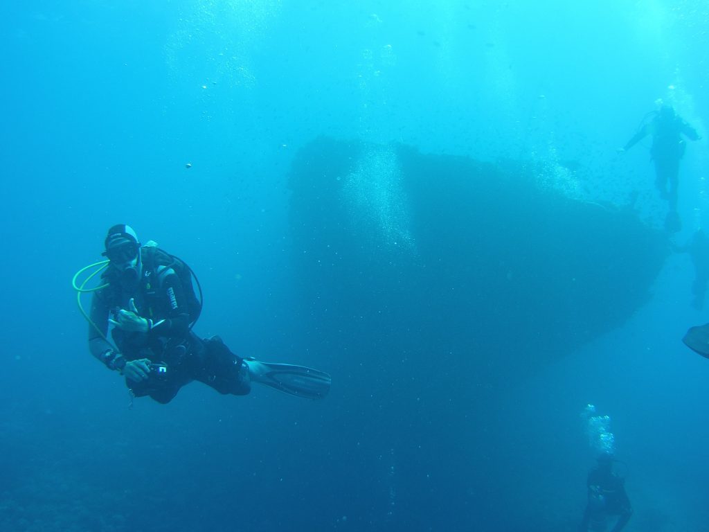 Red Sea Kingston Wreck