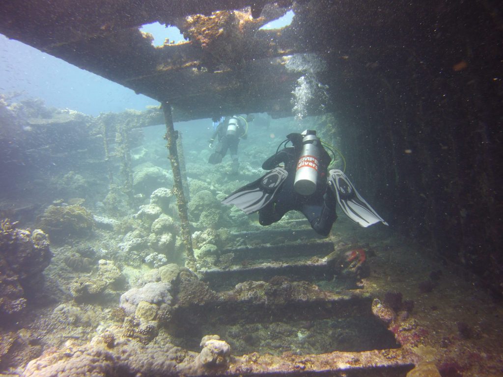 Red Sea Kingston Wreck