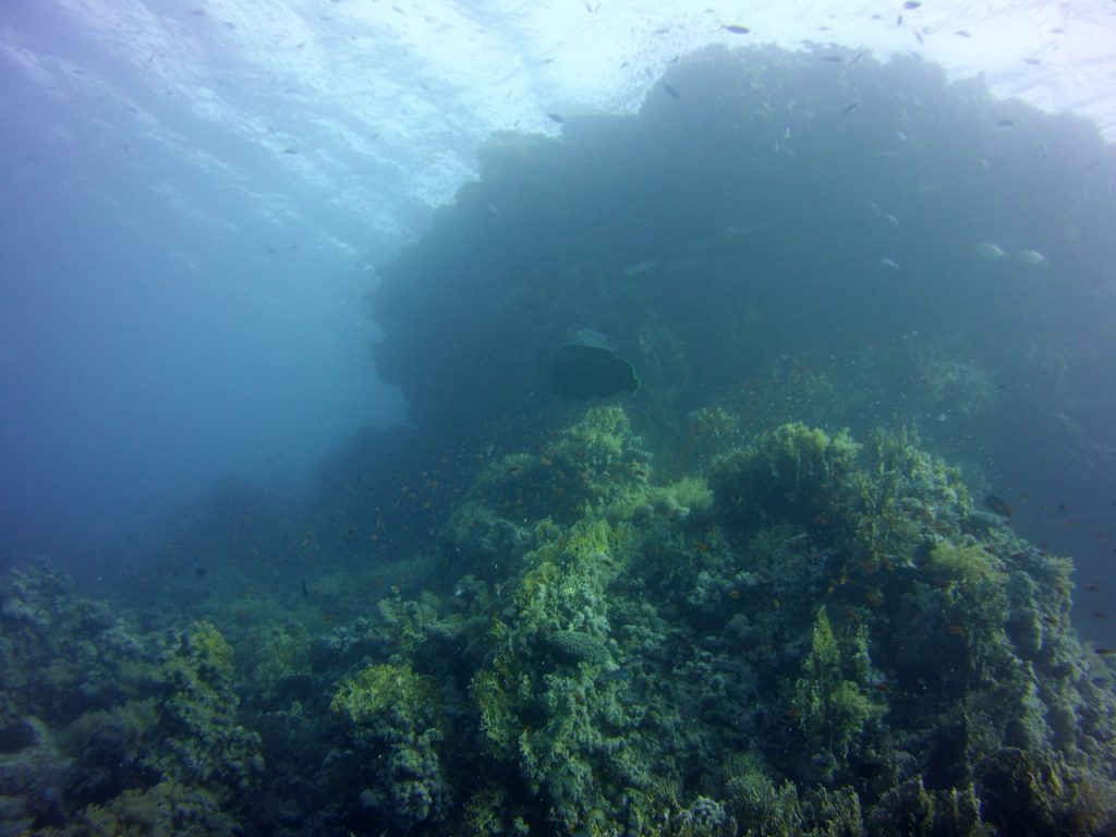 Ras Mohammed