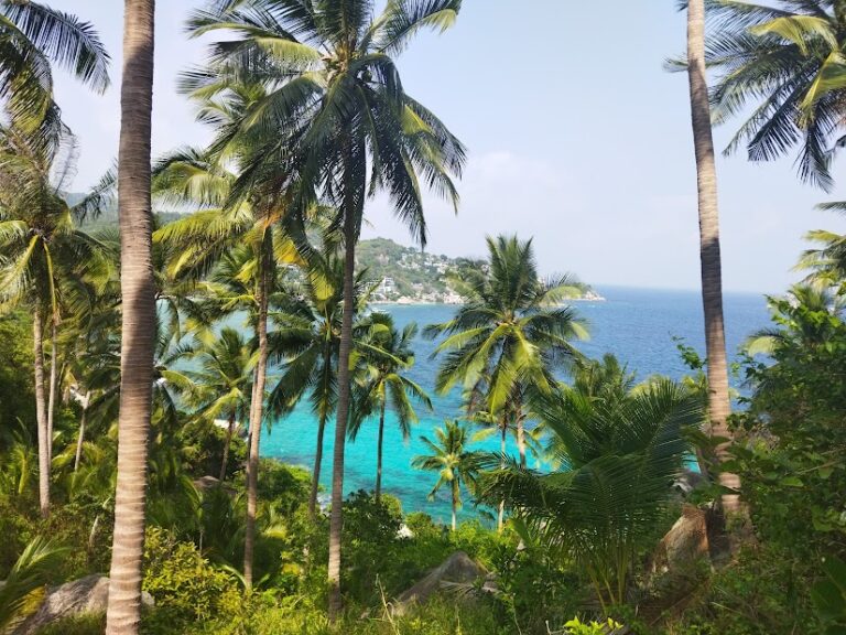 Thailand Dreaming: 6 Weeks of Buddhas, Diving and More