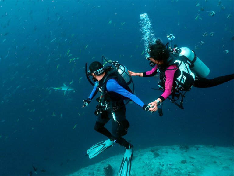 Dive into Paradise: Exploring the Maldives from a Liveaboard